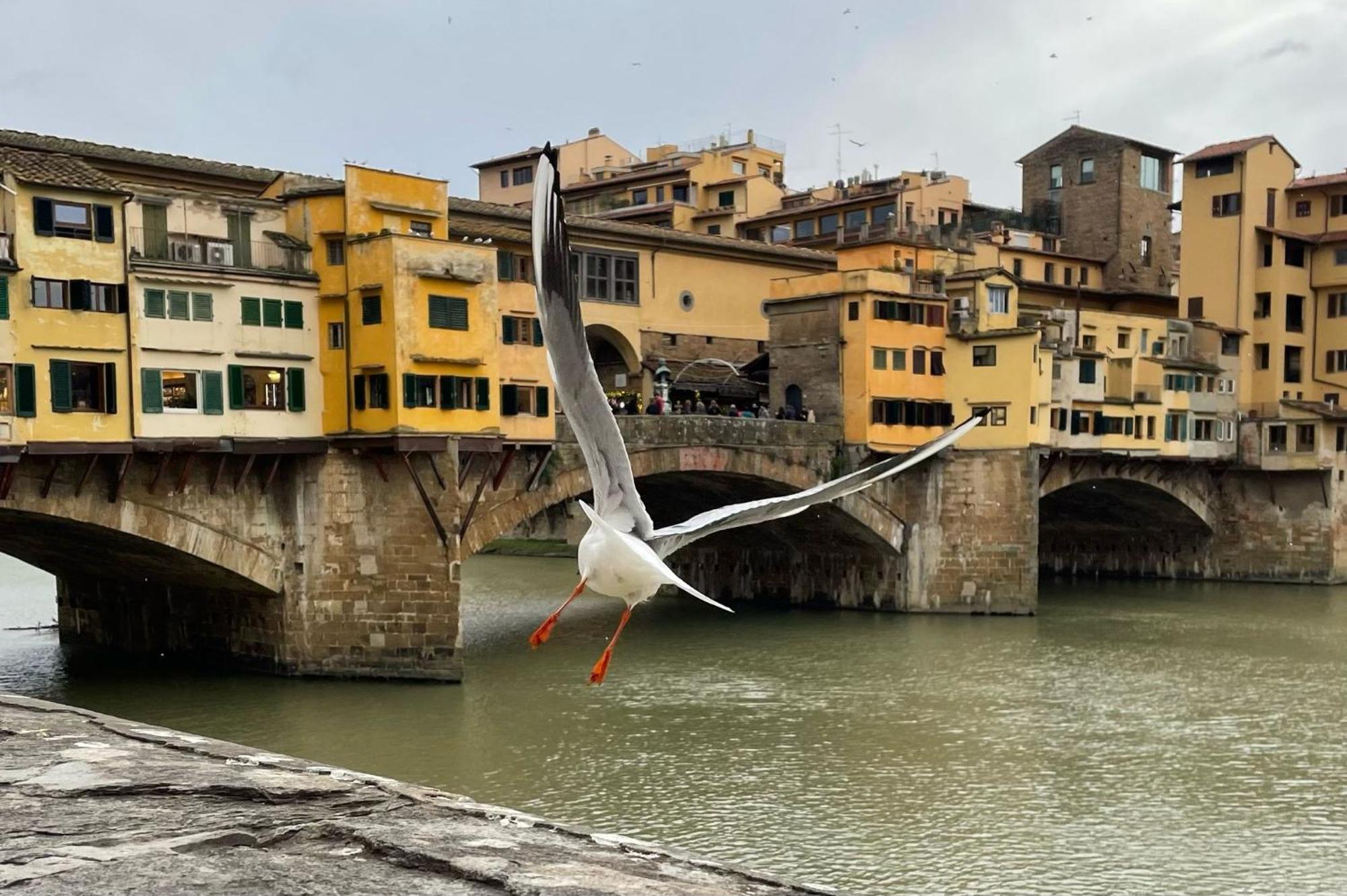 Modern Apartments In The Heart Of Florence Luaran gambar